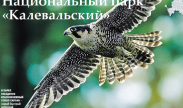 Национальный парк «Калевальский»