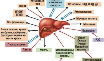 Стандартный биохимический анализ крови